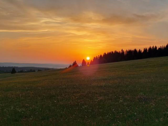 Landgasthof Neitsch Schwarzenberg  Buitenkant foto