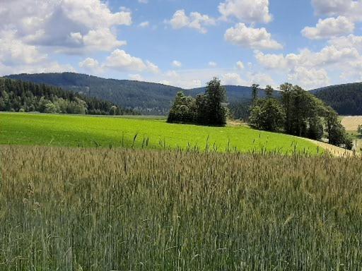 Landgasthof Neitsch Schwarzenberg  Buitenkant foto